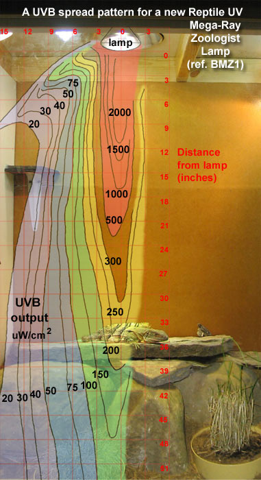 Fig. 18: Spread Chart for Mega-Ray Zoo Lamp in vivarium