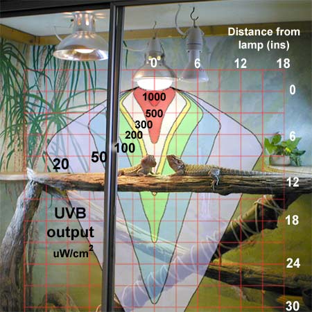 Fig. 16: Spread Chart for SB Mega-Ray Lamp in a vivarium