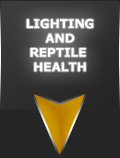 Lighting and Reptile Health
